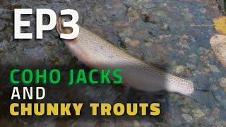 FISHING VLOG EP3 - COHO JACKS & CHUNKY TROUTS