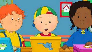  Caillou Goes Back to School   Caillous New Adventures