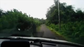 GRAB DRIVER JUMPA PENUMPANG SERAM TEPI HUTAN