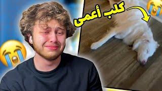 اذا بتبكي انت مش زلمة  اتحداك ما تبكي