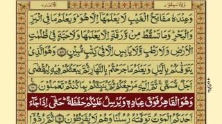 Quran-Para0730-Urdu Translation