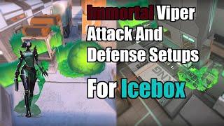 INSANE Immortal Viper Icebox Setups to get EASY wins