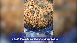 LANE Feed Pellet Machine Granulation Experiment