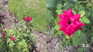 Canon T5i vs T4i Video Quality Test  Full 1080HD Comparison  Canon Rebel EOS 700D vs 650D