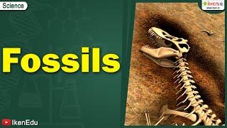 Fossils  Environmental Science  iKen  iKen Edu  iKen App