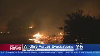 WINE COUNTRY WILDFIRES  Fires raging across Napa and Sonoma counties burn homes and force evacuatio