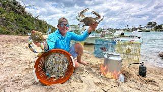 Surviving off the Land Trap & Cook Challenge The Best Way to Eat Crab