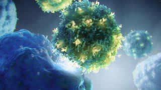 Natural killer cells & CAR T cell therapy  immunotherapy animation