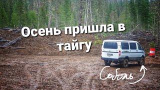 Октябрь. Короткая поездка в тайгу.