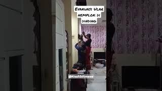 Cara Evakuasi Ular Nemplok di Dinding #damkar #evakuasi #edukasi #viral #relawan