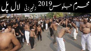 10 Muharram 2019 Zanjeer Zani Zuljanah Jaloos Matam Lal Pul Lahore Pakistan