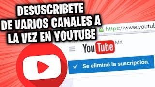 Cómo Eliminar Todas las Suscripciones a Canales de YouTube