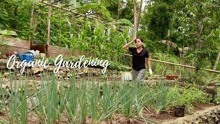 Simple Filipino Meal that i harvested in my garden Organic Gardening BoholPhilippines-Countryside