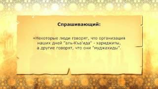 Шейх Абдульмухсин Аль-Аббад Про Аль-Каиду и ее джихад