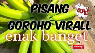 Pisang Goroho Viral pe sadapp mantappmusa acuminata Panen pisang singkat