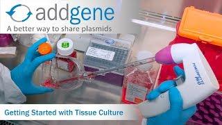 Getting Started with Tissue Culture