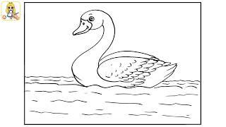 How to Draw Swan Step by Step  हंस का चित्र बनाना सीखें  SWAN DRAWING TUTORIAL  School Project