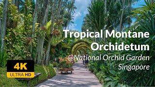 Tropical Montane Orchidetum at National Orchid Garden @NParksSG - 4K UHD 60FPS Walking Tour
