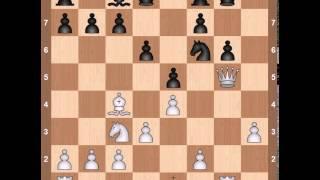 Уроки шахмат  Медленная игра для 2 разряда