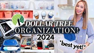  2024 DOLLAR TREE ORGANIZATION IDEAS EXTREME Home Organization  EASY