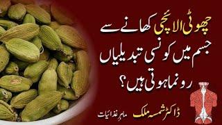 Top 9 Health Benefits of Cardamom  Rozana Choti Elaichi Khane Ky Fayde  Dietitian Shamsa Malik