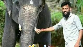 മാംബി അണ്ണൻ mass whatsapp status for all nambi fans