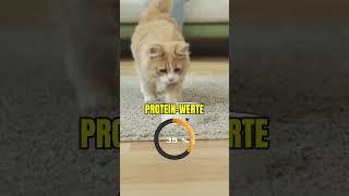 Proteingehalt im Katzenfutter? Die reinste Verar*** 