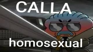 calla homosexual