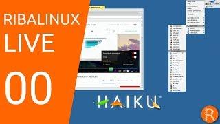 Ribalinux LIVE 00  Haiku OS