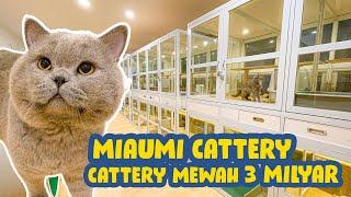 ROOM TOUR CATTERY MEWAH 3 MILYAR