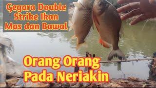 DOUBLE STRIKE IKAN MAS DAN BAWAL #mancingikanmas #mancingharian #racikanumpanikanmas