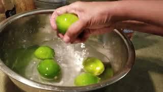 Lime Quercetin Liquid AKA Quinine Homemade for Optimal Health