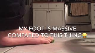 Asmr Feet Crushing