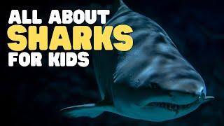 All About Sharks for Kids  What is a shark? Shark facts for kids