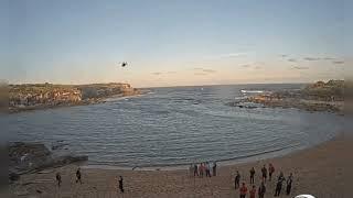 Shark Attack Video At Little Bay Beach In Sydney - shark attack little bay video