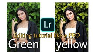 Basic Lightroom tutorial like a pro  From green to yellow background