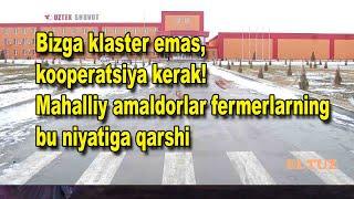 Bizga klaster emas kooperatsiya kerak Mahalliy amaldorlar fermerlarning bu niyatiga qarshi