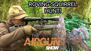 The Airgun Show  Hunting Grey Squirrels in Summer  Hammerli Black Force 400 airgun combo review