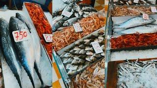 سعر  السمك اليوم  في الجزائر \سوق السمك ميناء زموري مسمكة خوخة البليدة بوقرة