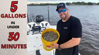 5 GALLONS Of SHRIMP In UNDER 30 MINUTES- Castnetting Shrimp Hundreds At a Time Daytona Beach 2021