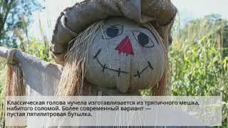 Сделать пугало для дачи своими руками