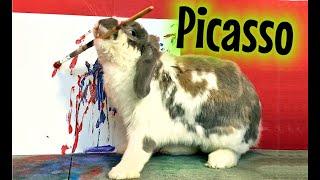 Picasso Rabbit paints a masterpiece new