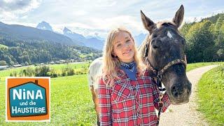 Appaloosa  Information für Kinder  Nina und die Haustiere