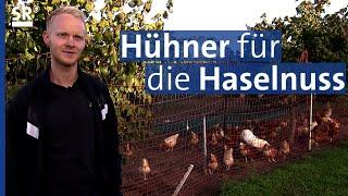 Eine Haselnussplantage in Bayern geht neue nachhaltige Wege  Genuss mit Zukunft