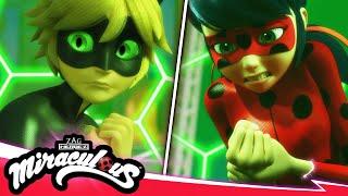 MIRACULOUS   REVOLUCIÓN - Ladybug & Cat Noir   Las Aventuras de Ladybug