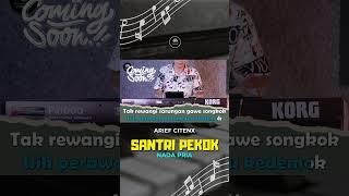 SANTRI PEKOK - Karaoke Nada Pria #teaser  #dangdutkaraoke #electone