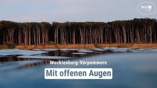 Sehnsucht nach Wasser und Weitblick  Mecklenburg-Vorpommern - Das Urlaubsland.