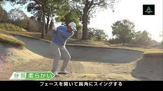 Accordia Lesson ～Bunker Shot Master～【会報誌Accordia Golf 2024「冨永プロのジェントルゴルフレッスン」より】