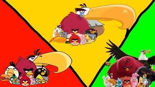 evolution of literally every angry bird that has one