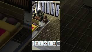 Lets Play Shorts - Homeless Interior Designer - A Cozy Cabin Makeover.